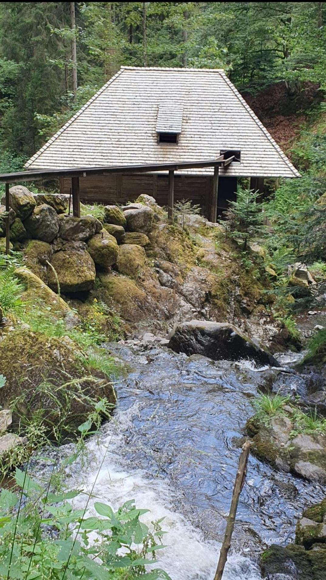 Ferienwohnung Schwarzwaldglueck Löffingen 外观 照片